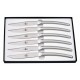 Christian Ghion : Coffret 6 Couteaux de Table Monobloc Inox Finition Brillante